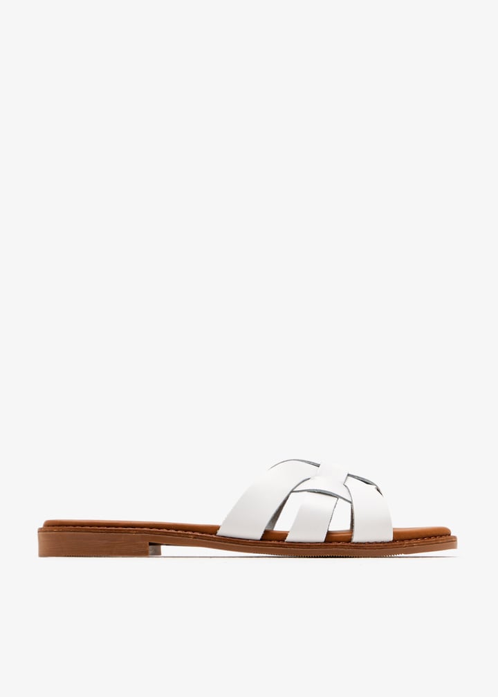 paloma-white_1.jpg?ts=20250815035112