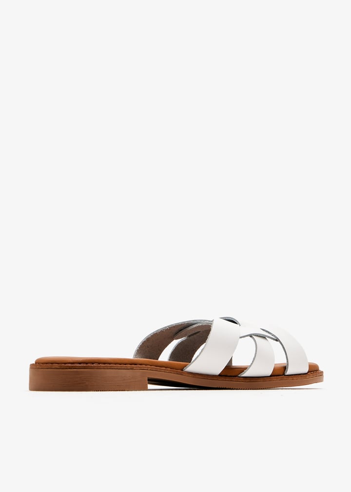 paloma-white_6.jpg?ts=20250815035112