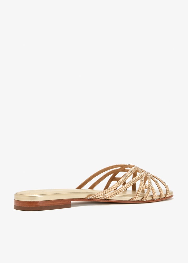 pasqelina-golpat_6.jpg?ts=20260204022256