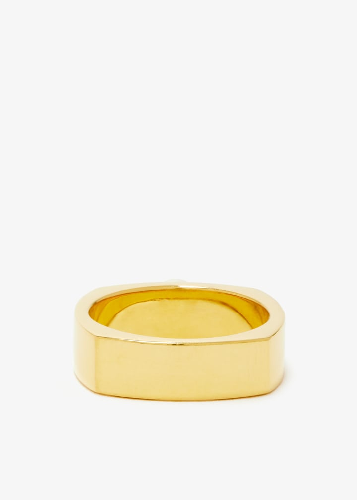 pe-g-r1-pl-gold_4.jpg?ts=20241109034019