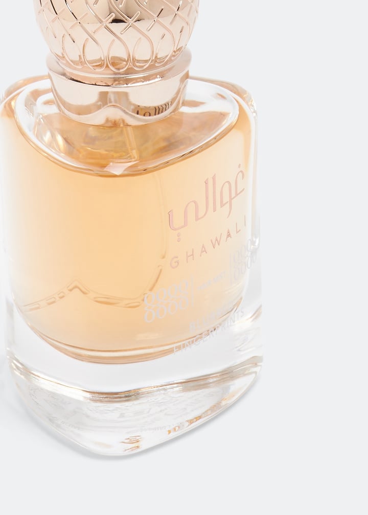 pfi10025077_2.jpg?ts=20221227030510