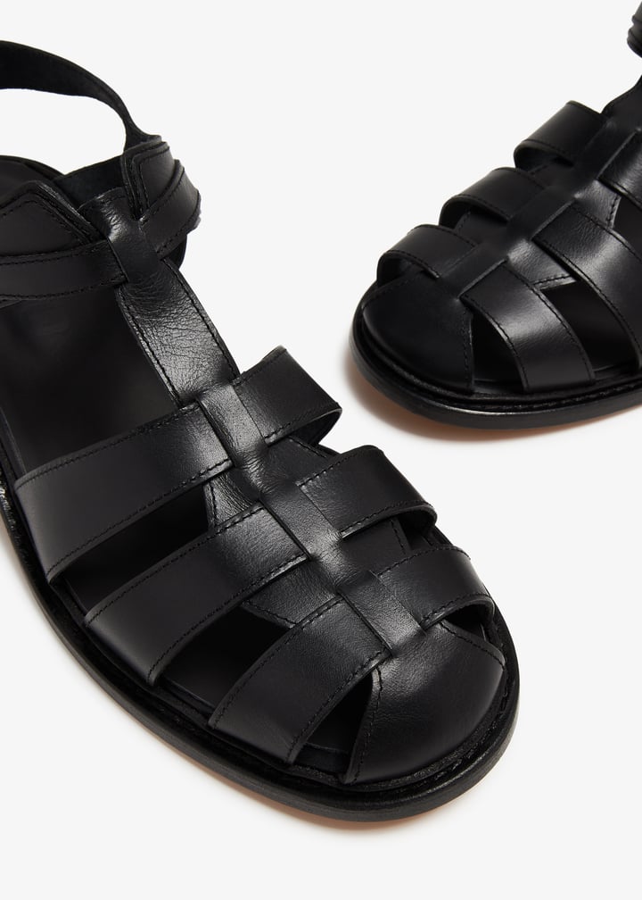 phi04sh314-1_3.jpg?ts=20240118031031