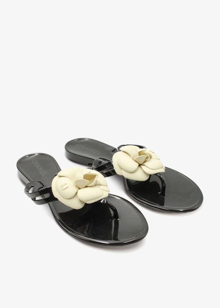 pl255171_2.jpg?ts=20250509030925