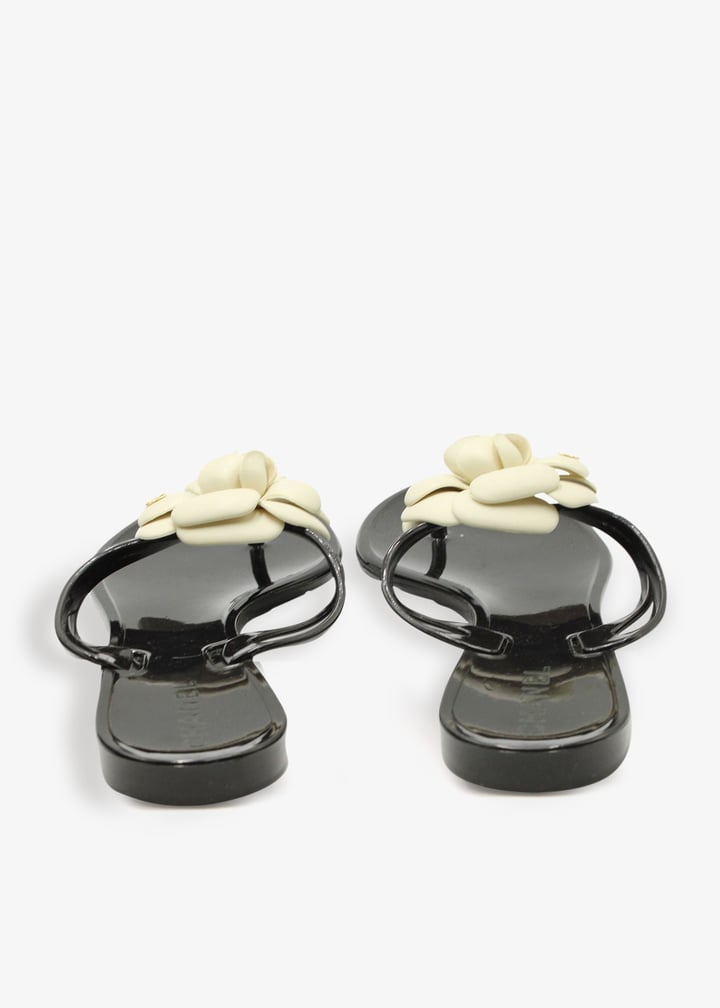 pl255171_3.jpg?ts=20250509030926