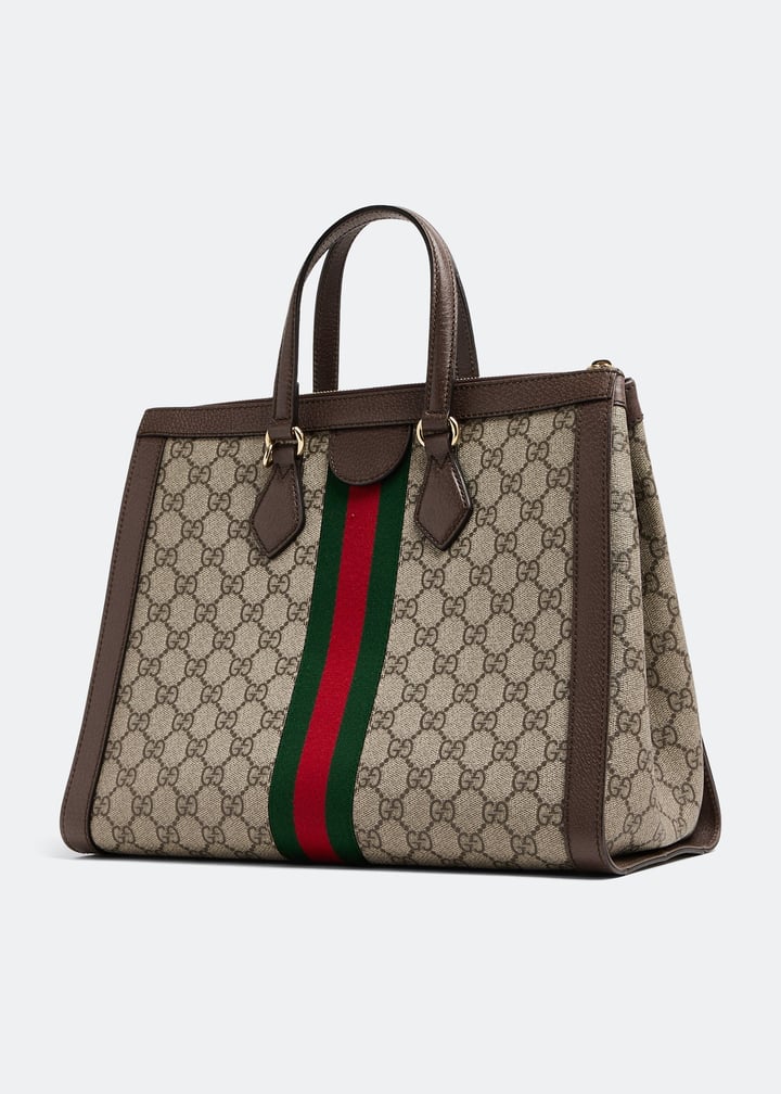 pl262140_3.jpg?ts=20230614174524