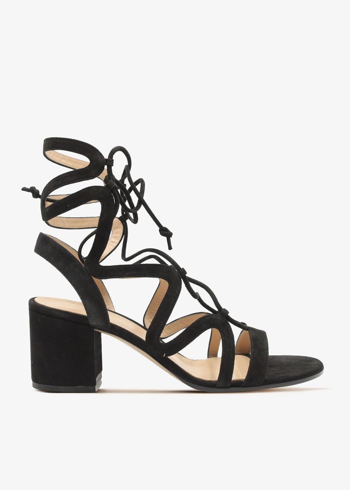 pl340537_1.jpg?ts=20250214034032