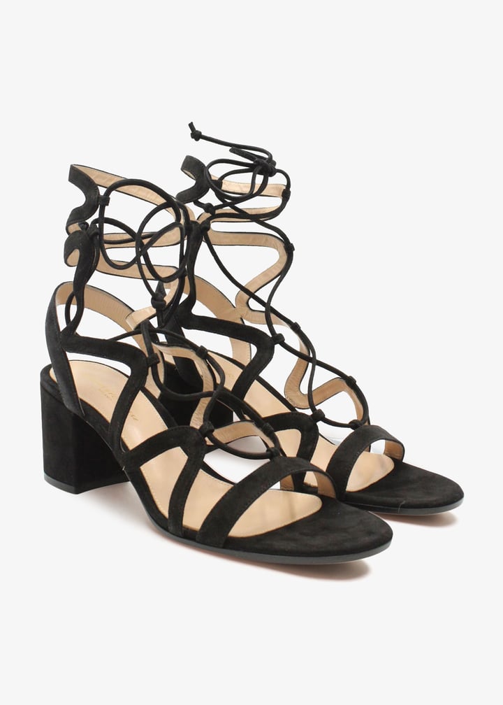 pl340537_2.jpg?ts=20250214034032