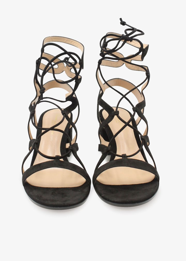 pl340537_3.jpg?ts=20250214034032