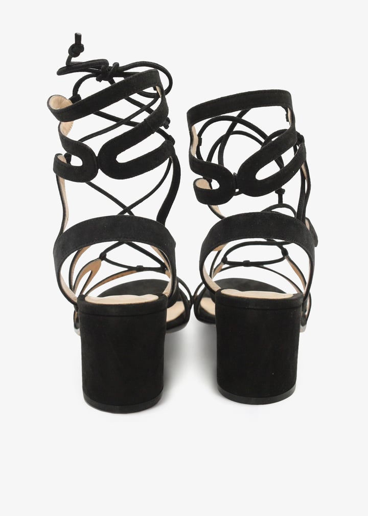 pl340537_4.jpg?ts=20250214034032