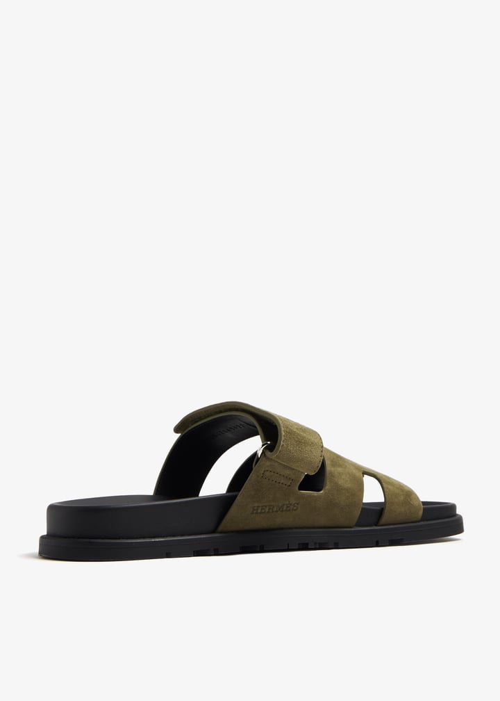 pl345076_3.jpg?ts=20240119153516