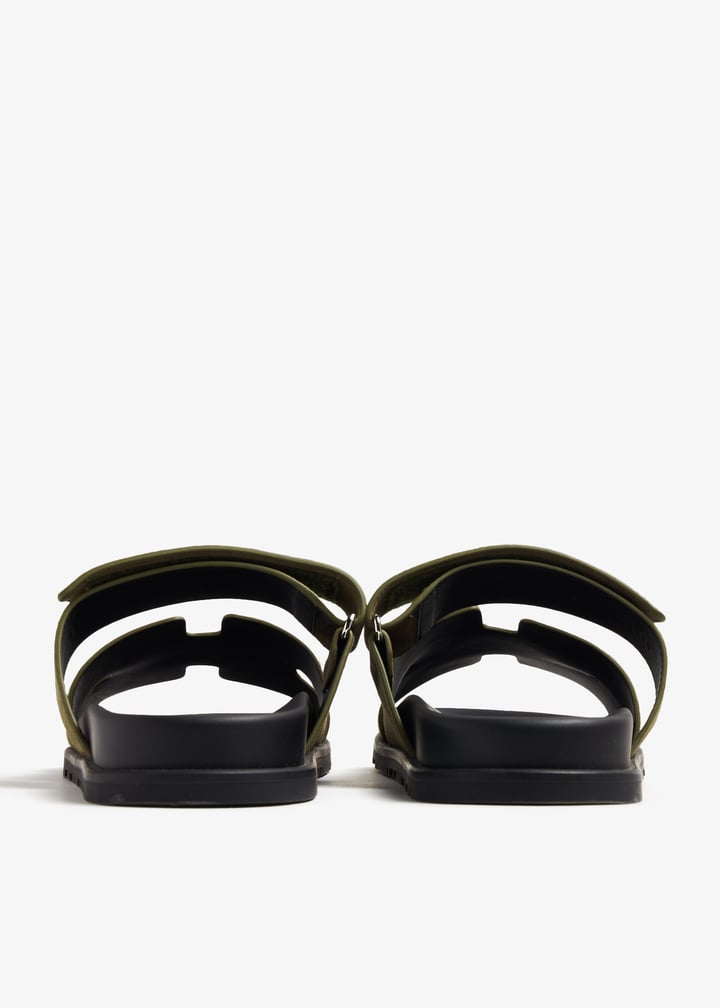 pl345076_5.jpg?ts=20240119153516