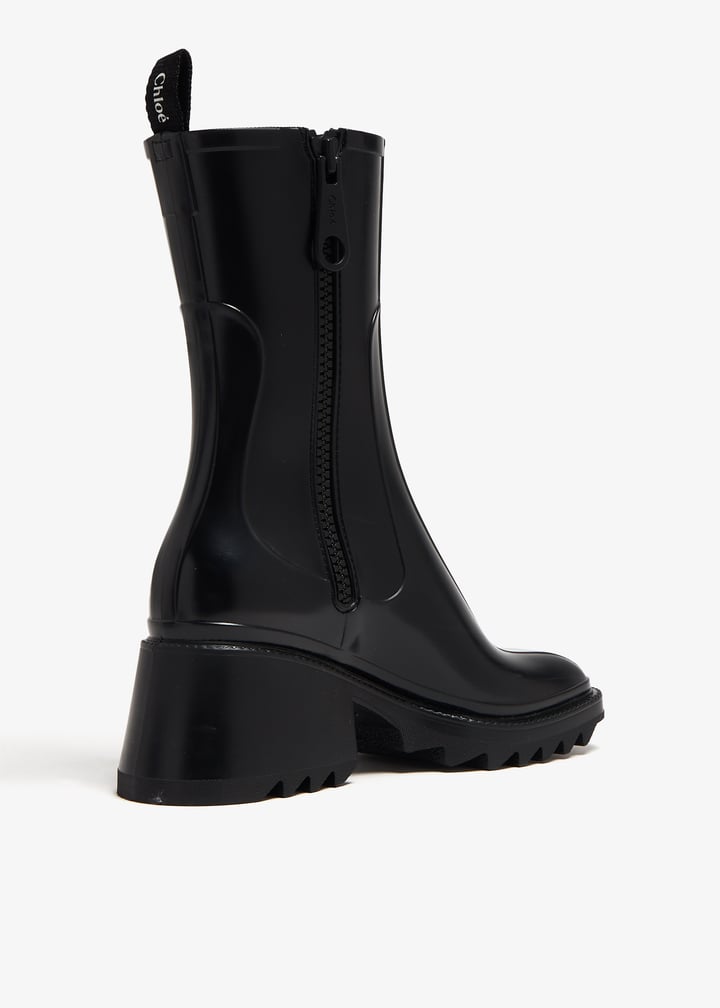 pl345859_3.jpg?ts=20240123030515