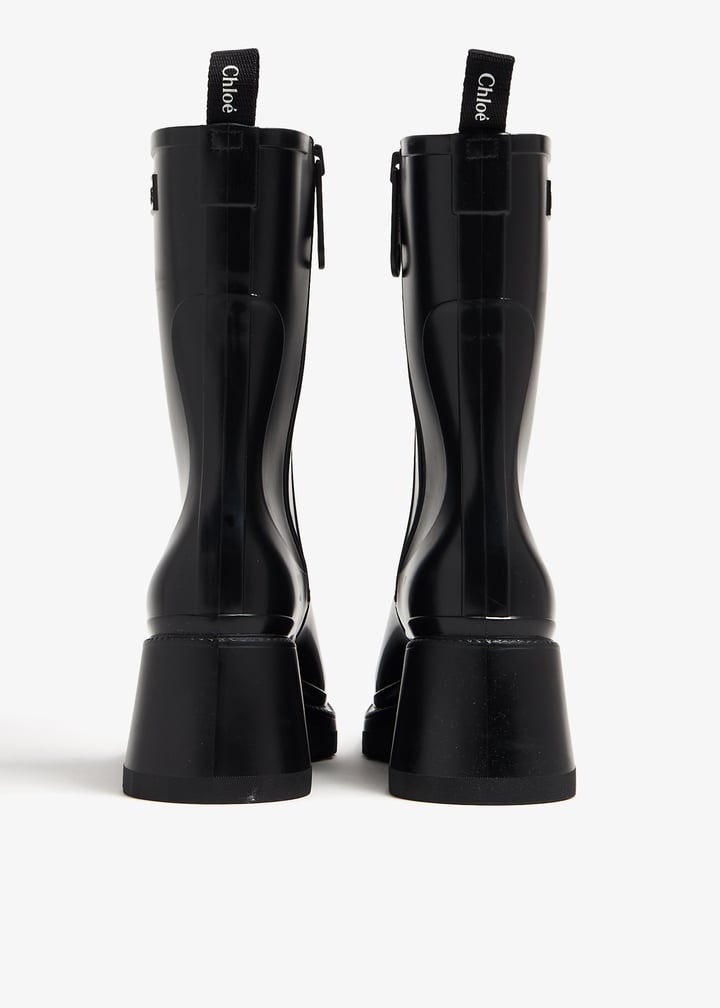 pl345859_5.jpg?ts=20240123030515