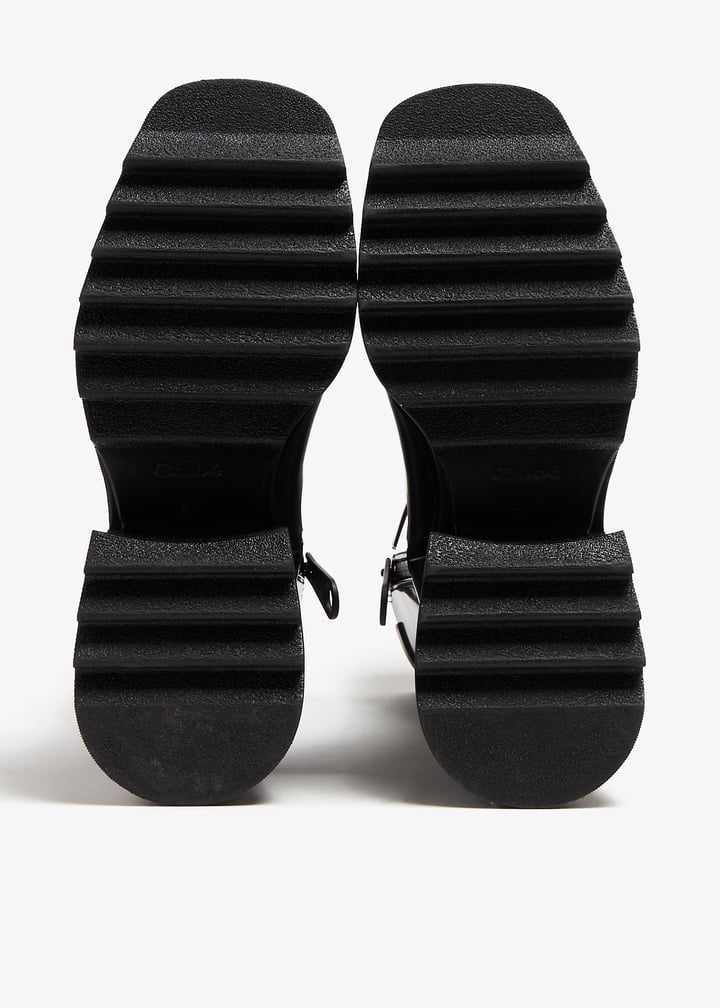 pl345859_6.jpg?ts=20240123030515