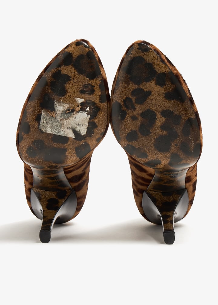 pl361066_6.jpg?ts=20240412184604