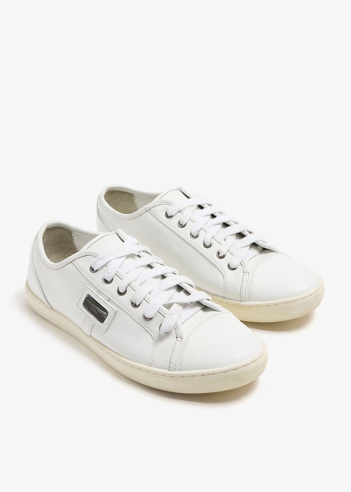 pl361653_2.jpg?ts=20240412184619