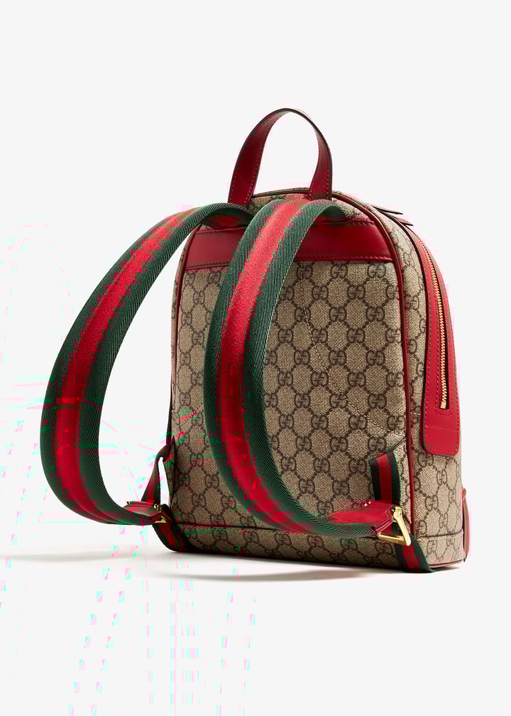 pl362388_2.jpg?ts=20240604033634