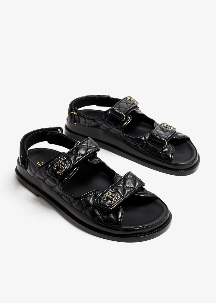 pl363786_2.jpg?ts=20240418031541