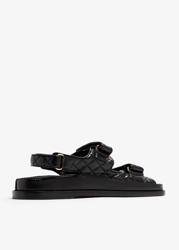 pl363786_3.jpg?ts=20240418031541