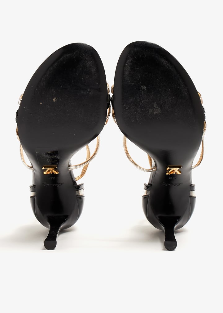 pl365449_6.jpg?ts=20240503113011