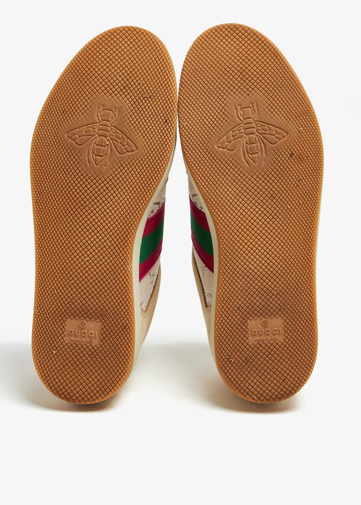 pl366134_6.jpg?ts=20240508033601