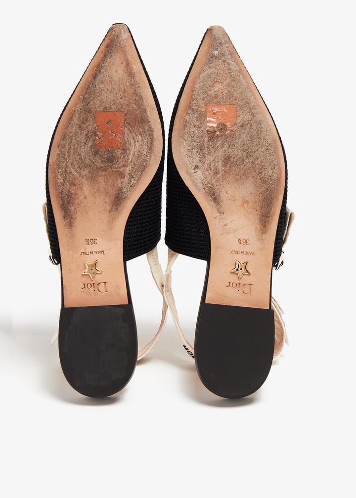 pl366137_6.jpg?ts=20240508033601