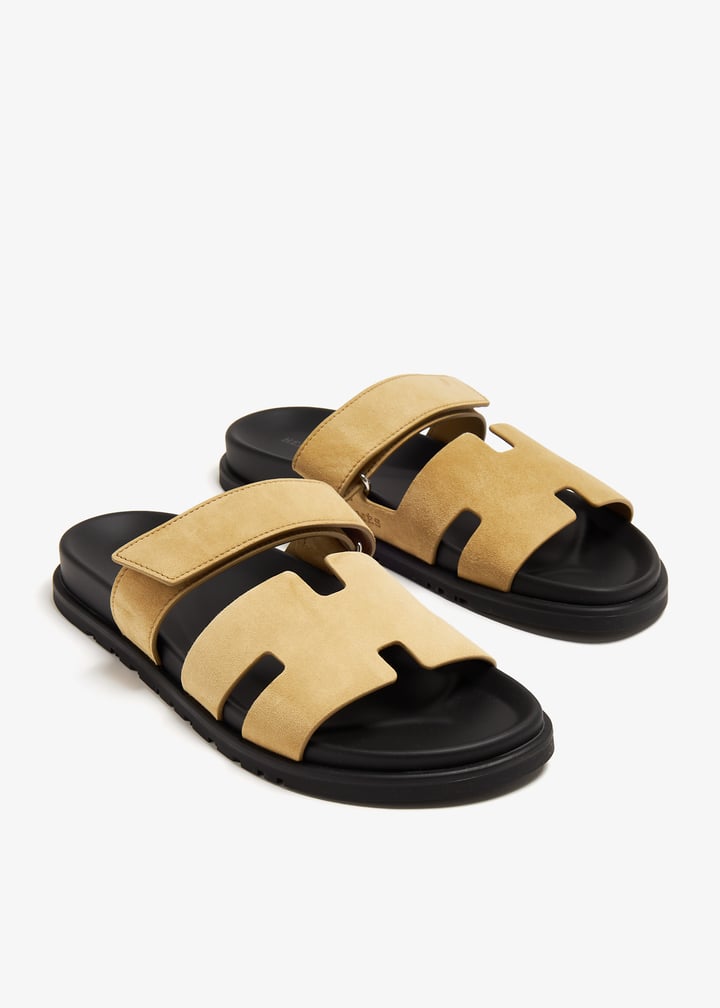 pl366318_2.jpg?ts=20240510170525