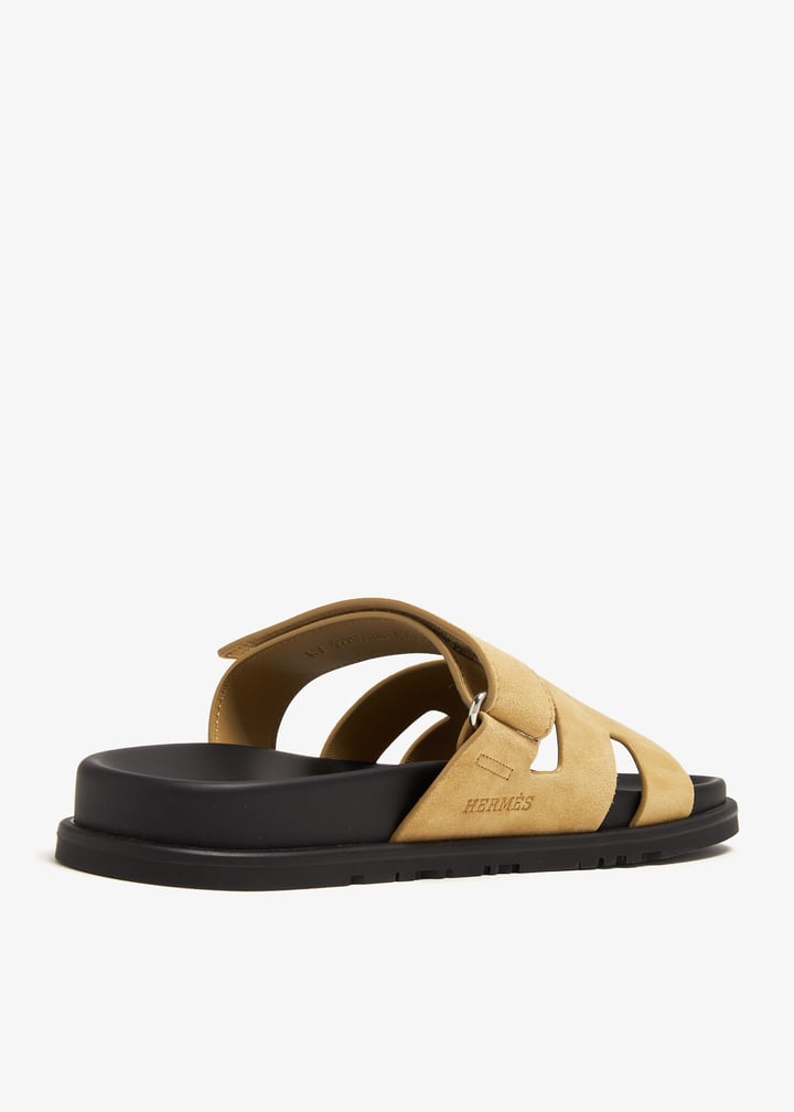 pl366318_3.jpg?ts=20240510170525