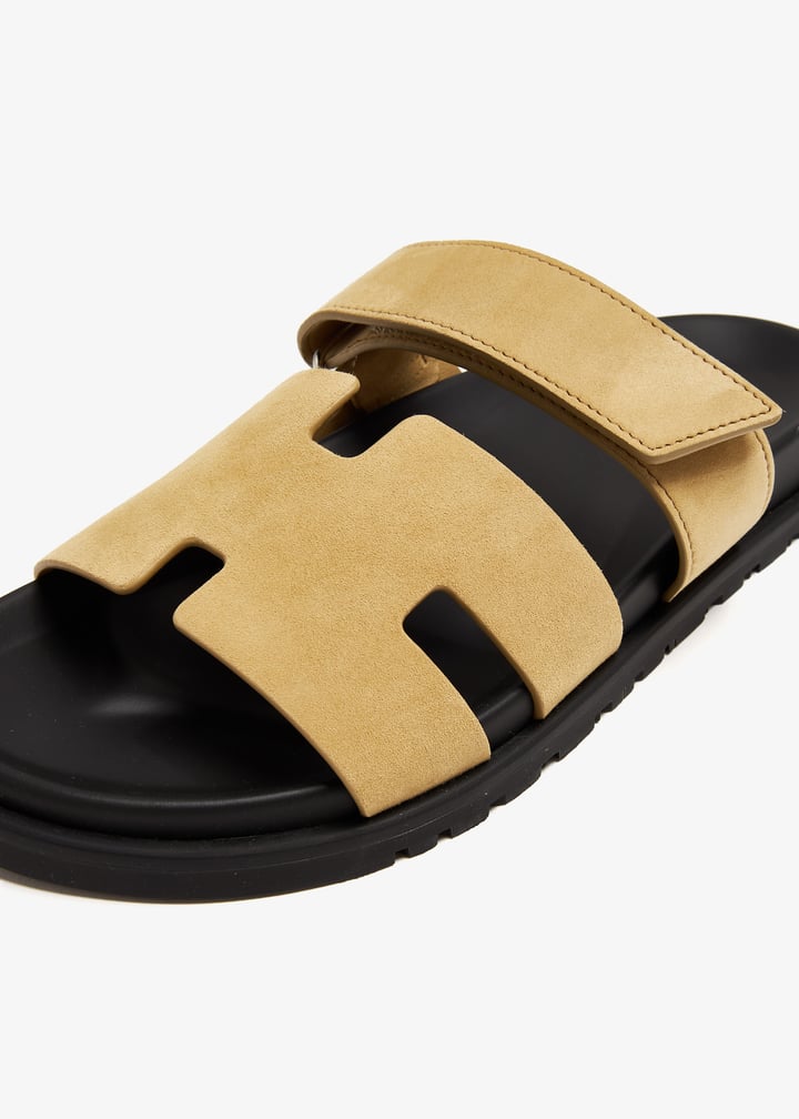 pl366318_4.jpg?ts=20240510170525