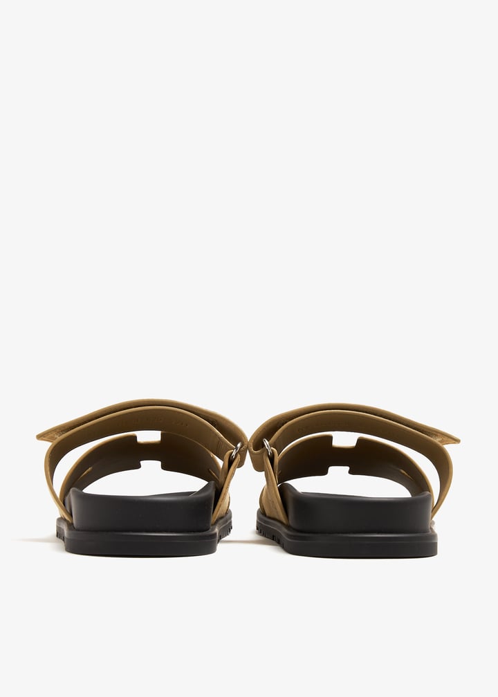 pl366318_5.jpg?ts=20240510170525