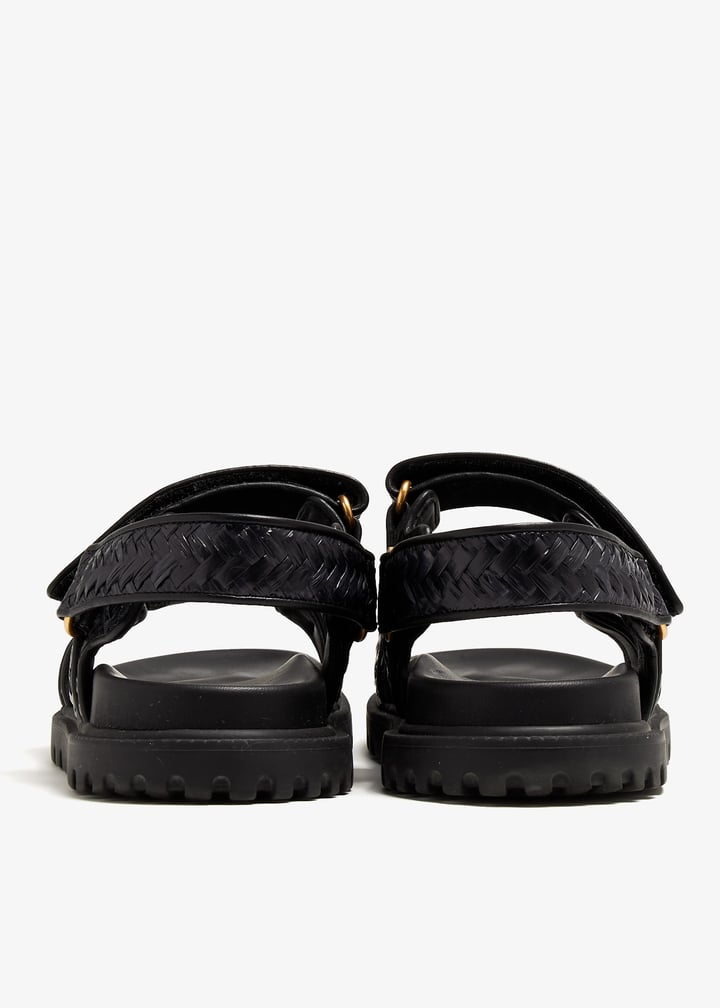 pl366482_5.jpg?ts=20240602155121