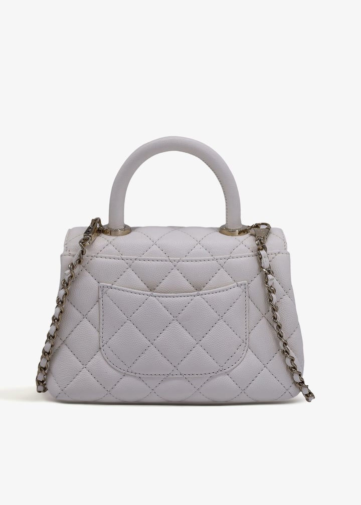 pl367962_3.jpg?ts=20240913030517