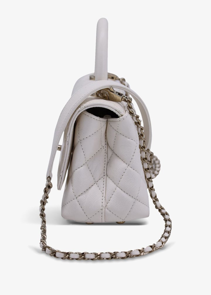 pl367962_5.jpg?ts=20240913030517