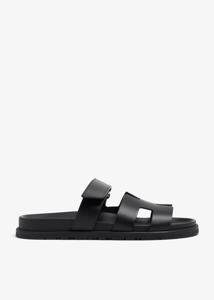 pl368547_1.jpg?ts=20240712104542