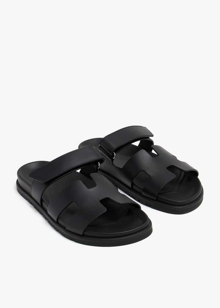 pl368547_3.jpg?ts=20240712104542