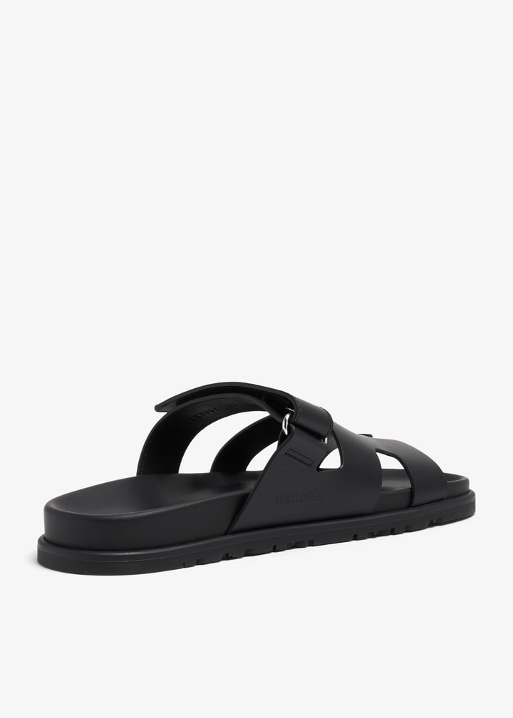 pl368547_4.jpg?ts=20240712104542