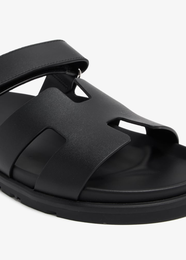 pl368547_5.jpg?ts=20240712104542