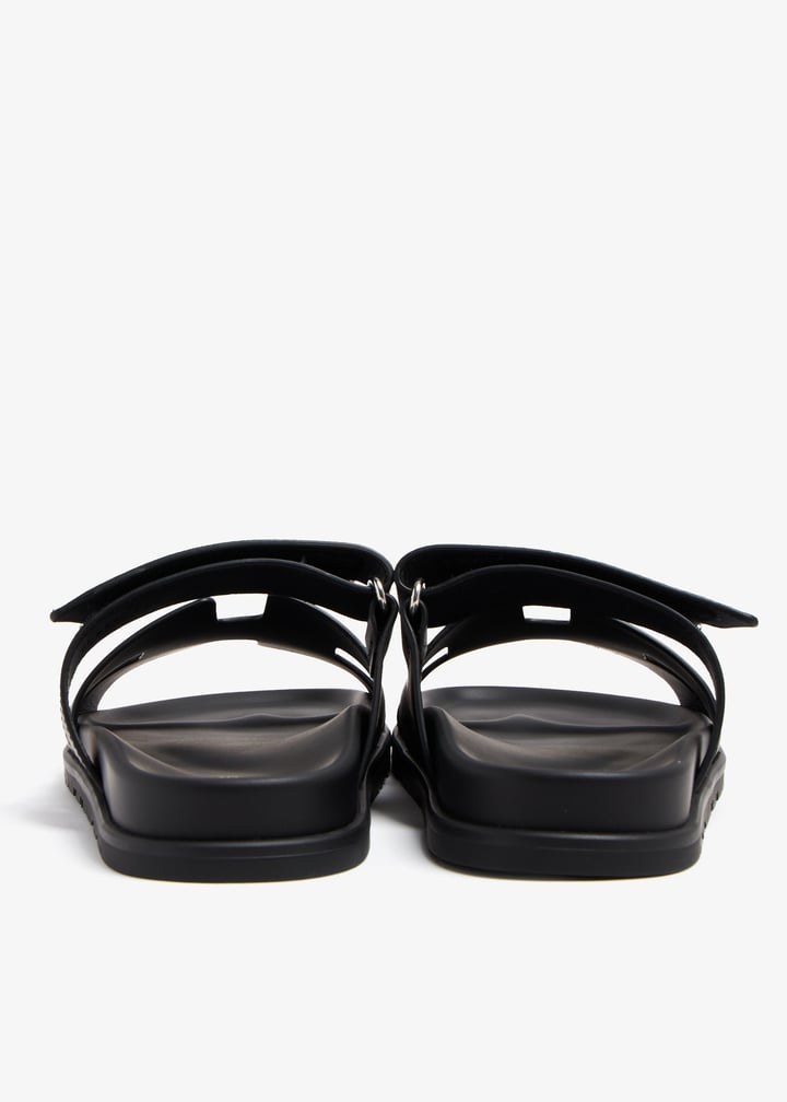 pl368547_6.jpg?ts=20240712104542