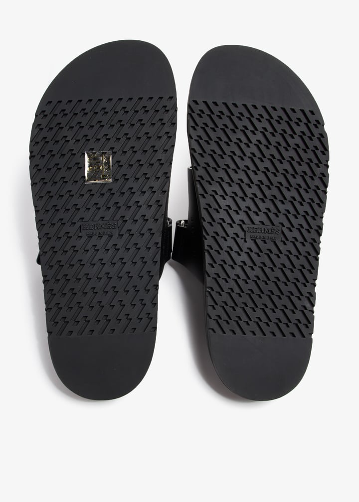 pl368547_7.jpg?ts=20240712104542