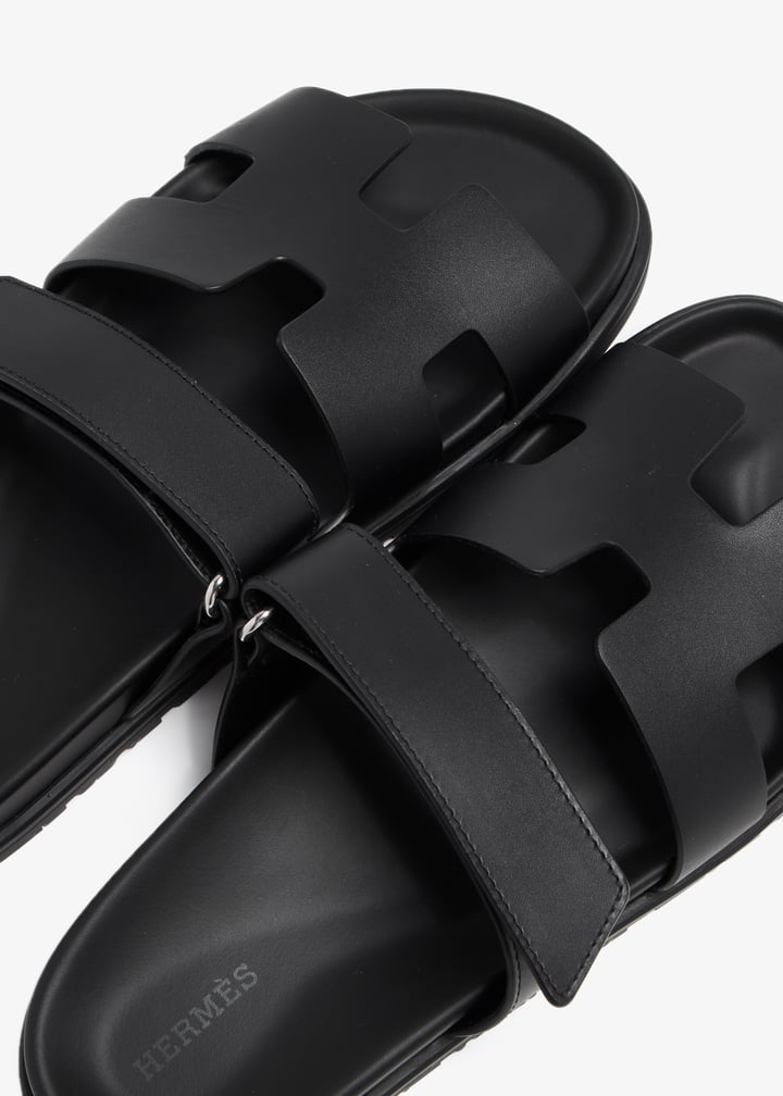 pl368547_8.jpg?ts=20240712104542