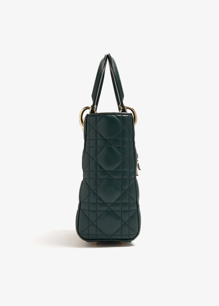 pl369043_5.jpg?ts=20240620114011