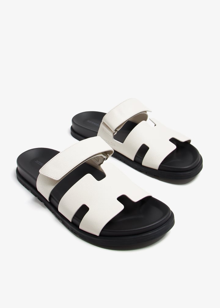 pl369152_3.jpg?ts=20240703033636