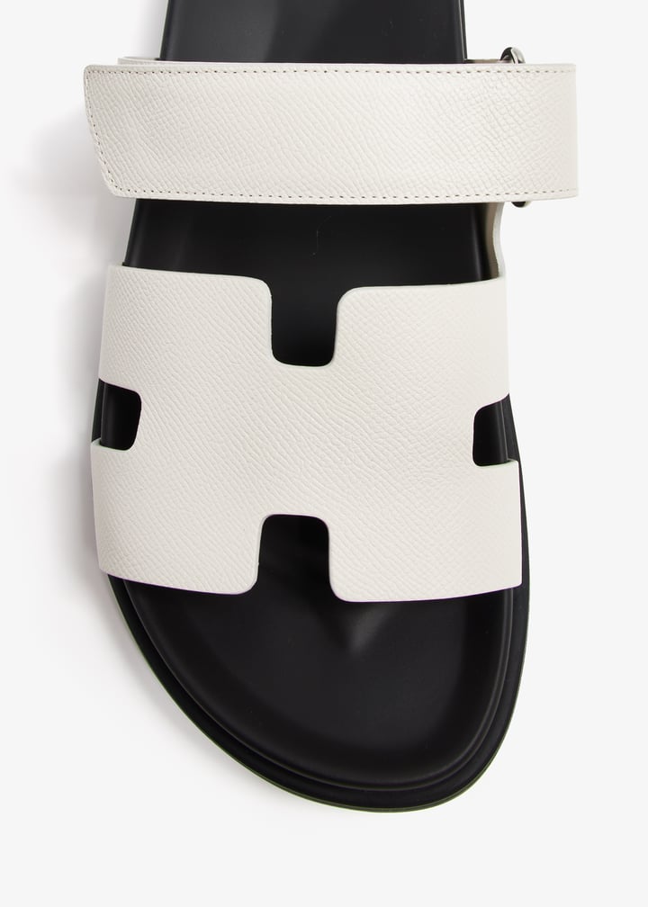 pl369152_5.jpg?ts=20240703033636