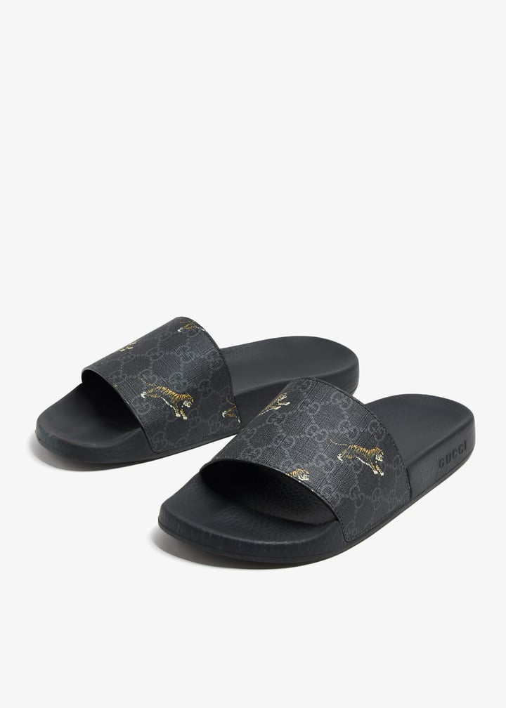 pl369899_3.jpg?ts=20240613042036