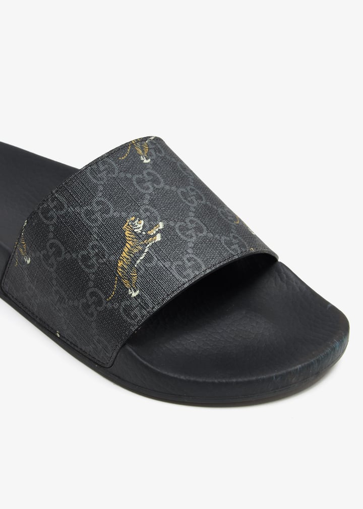 pl369899_5.jpg?ts=20240613042036