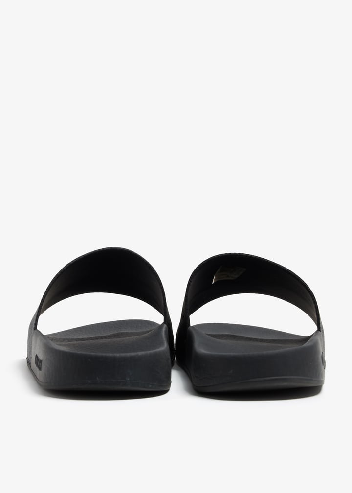 pl369899_6.jpg?ts=20240613042036