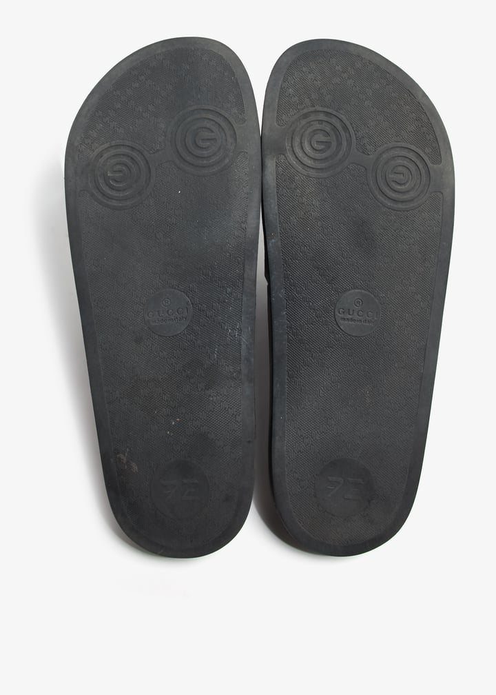 pl369899_8.jpg?ts=20240613042036