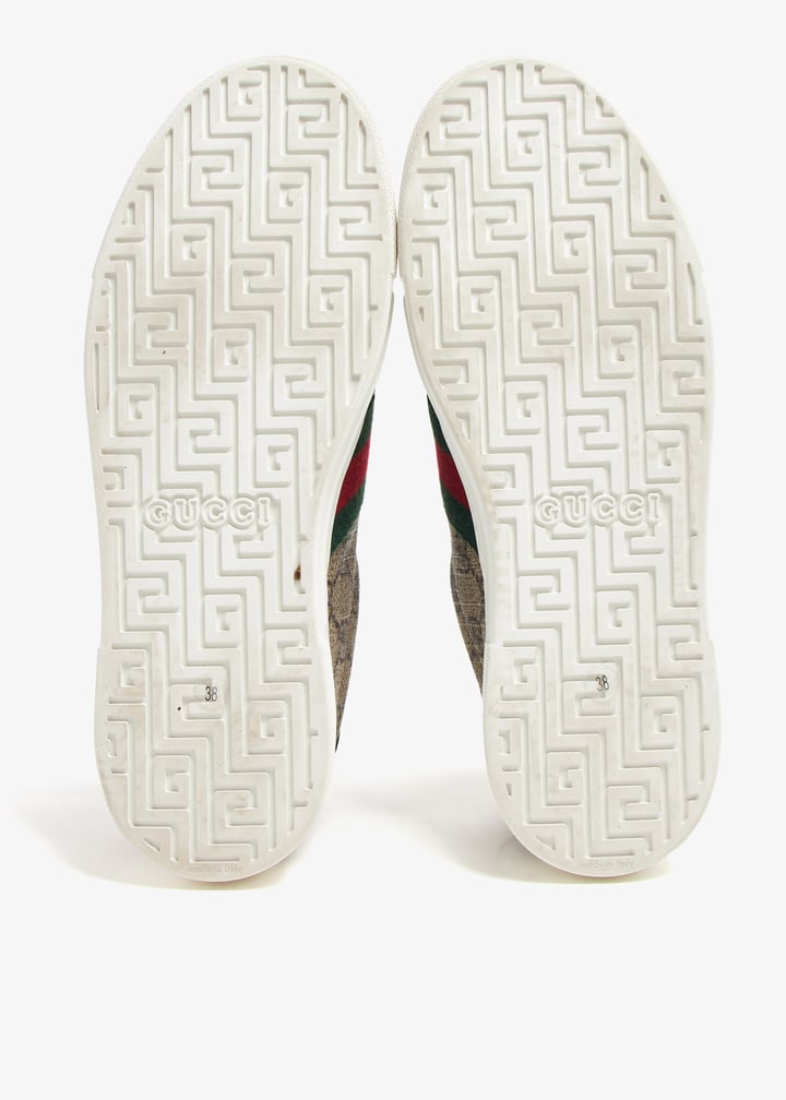 pl370134_7.jpg?ts=20240621030529