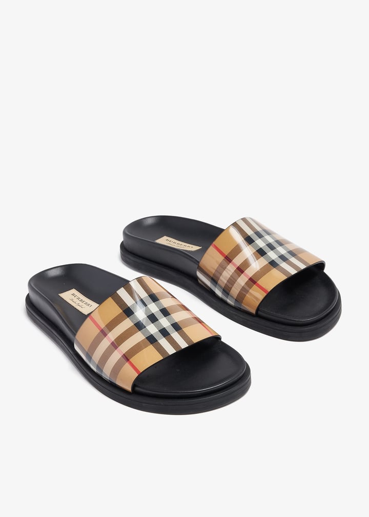 pl370542_3.jpg?ts=20240710032549