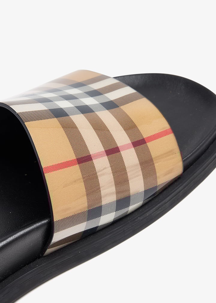 pl370542_5.jpg?ts=20240710032549